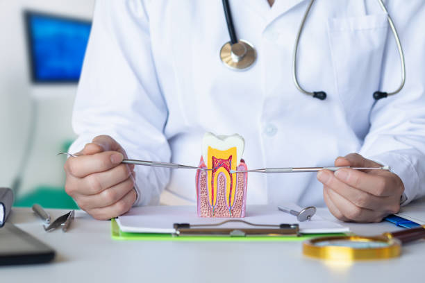 Trusted SC Emergency Dentist Experts
